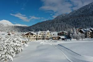 席尔瓦普拉纳贝拉维斯塔酒店的雪地里的一个度假胜地,有雪覆盖的树木