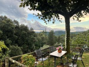 圣科洛马·德法尔Can Canaleta Hotel Rural的树下桌椅,享有美景