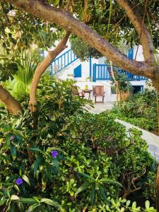 米克诺斯城马蒂纳酒店的享有种植了植物的花园美景,设有桌子。