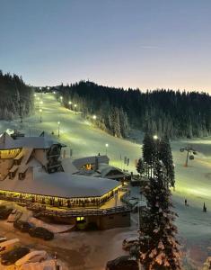 亚霍里纳加哈利纳特玛酒店的滑雪胜地,设有滑雪场和滑雪缆车