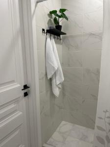 第比利斯apartments of Gregoryan的架子上植物的淋浴浴室