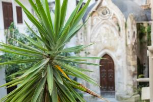 塔兰托Eutuxia的教堂前的棕榈树