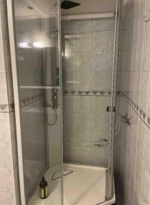 曼达尔Beautiful 5-Bed Villa in Mandal的浴室里设有玻璃门淋浴