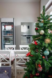 莱斯诺夫AristoCat Hotels Rasnov的带厨房的房间里,绿叶圣诞树