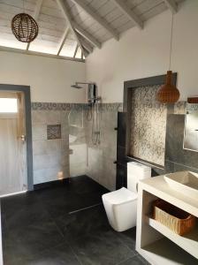 坦加拉Sleeping Elephant Beach Resort的带淋浴、卫生间和盥洗盆的浴室