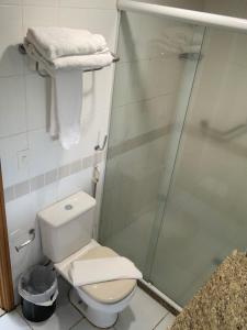 马瑙斯Tropical Executive Hotel的一间带卫生间和玻璃淋浴间的浴室