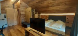 巴迪亚Editlodge "Dessura"的一间卧室配有一张床和一台平面电视