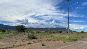 博福特西Cape Karoo Guesthouse的一条有杆的沙漠中间的土路