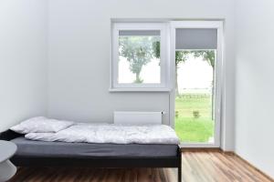 SmolecZielona Dolina 2020的一间卧室设有一张床和两个窗户。