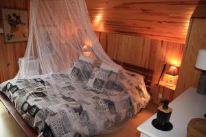 Chameyratleschambresdanne的一间卧室配有一张带蚊帐的床
