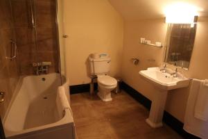 DerrylinKnockninny Country House的带浴缸、卫生间和盥洗盆的浴室