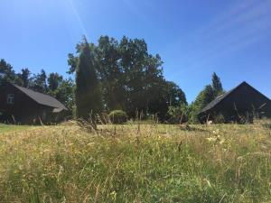 尤卡尔内Lūķi, Lauku sēta的一片草场,两座谷仓和树木