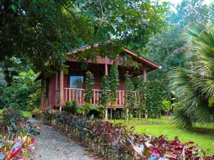 比加瓜Cataratas Bijagua Lodge, incluye tour autoguiado Bijagua Waterfalls Hike的森林中间的红色房子