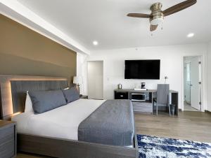 好莱坞谢尔登酒店的一间卧室配有一张床和一台平面电视