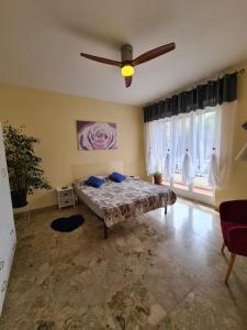 圣雷莫Casa dell amore 2的一间卧室配有一张床和吊扇