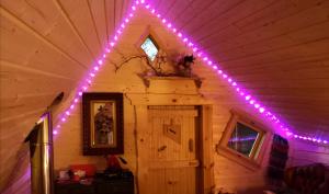 约克Acorn Glade Glamping的小屋天花板上一串紫色的灯光