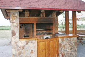 萨图马雷Hanu lui Gica的一个带砖炉和屋顶的户外厨房