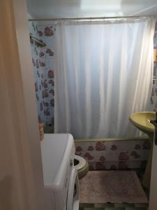 雅典Maria's Cozy apartment in Palaio Faliro的浴室设有卫生间和白色的淋浴帘