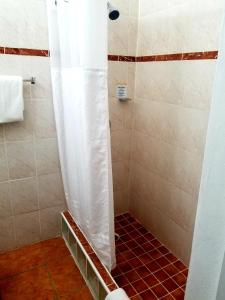 瓜尼卡帕拉多关尼卡1929的浴室内配有白色淋浴帘。