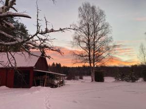 拉达Härlig Heden Vakantie Appartement的树上雪覆盖的谷仓