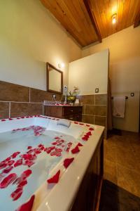 克萨尔特南戈Hacienda Grande Hotel的浴室设有大浴缸,上面有红玫瑰
