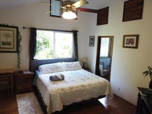 希洛夏威夷奥纳之家住宿加早餐旅馆的一间卧室配有一张带风扇和窗户的床。