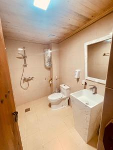 尼兹瓦Jawharat Alaqar Inn نزل جوهرة العقر的一间带卫生间和水槽的浴室