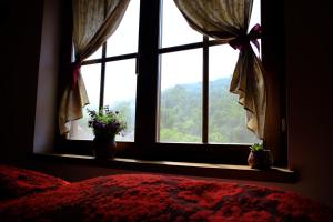 LedinciPodrum Miljević的卧室里两盆植物的窗户