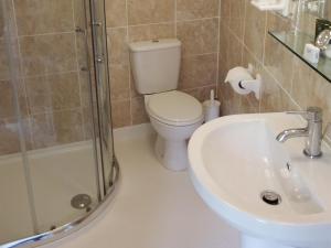 文特诺对角地旅馆的浴室配有卫生间、盥洗盆和淋浴。