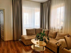 蒂萨菲赖德Boró Apartman的客厅配有沙发和桌子