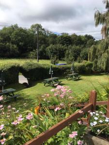 ManatonKestor Inn, Manaton, Dartmoor National Park, Newton Abbot, Devon的花卉公园内的两张野餐桌