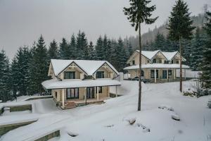 布克维WhiteWood Cottages的一座被雪覆盖的房屋,有树木
