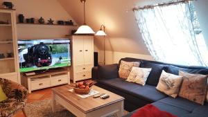 奥斯赛拜-塞林Ferienwohnung 5 im Haus am See的客厅配有蓝色的沙发和电视