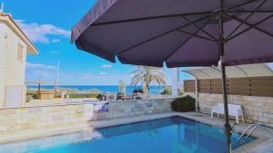 帕拉利米尼STAY Ocean View Villa的相册照片