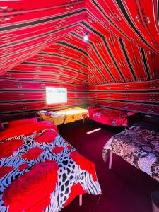 Bedouin host camp& with tour客房内的一张或多张床位