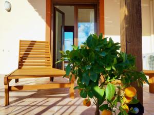 根纳迪Villa Filia的门廊上的木凳和盆栽植物