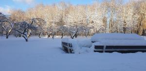 科赫特拉-耶尔韦Külalistemaja Kukruse Residents的公园里积雪覆盖的长凳