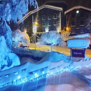 阿林萨尔蒙塔纳酒店的被雪覆盖的城市