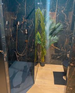 艾克斯莱班O2M Aix les bains的浴室设有2种植物,配有淋浴