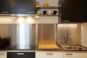 阿尔勒阿尔勒中心公寓的厨房配有不锈钢水槽和黑色橱柜