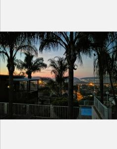 比勒陀利亚Palm View Guest House的享有棕榈树和城市的日落美景