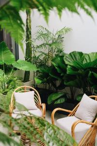 绥和市Laé Hostel的两把藤椅,有植物的房间