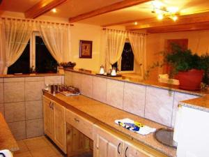 阿列谢尼Casa Dorina的厨房配有柜台、水槽和窗户。