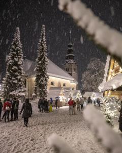 克拉尼斯卡戈拉Hotel Pino Alpino的一群人走在雪地的圣诞市场周围