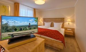 巴特贝林根Flair Hotel Schwanen的一间卧室配有一张床和一台平面电视