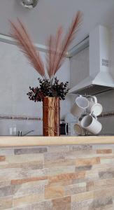 瓜达莱斯特Alojamientos Rurales Aitana的厨房配有带花瓶的柜台