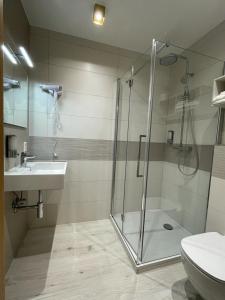 卢森堡Albergo Aida的带淋浴、盥洗盆和卫生间的浴室
