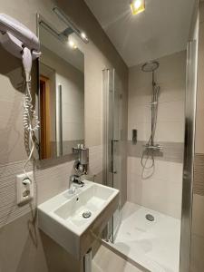 卢森堡Albergo Aida的一间带水槽和淋浴的浴室