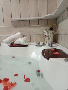 那不勒斯那波利花园酒店的浴室设有地板上的带碎片的盥洗池