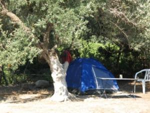 帕琉乔拉Camping Paleochora的相册照片